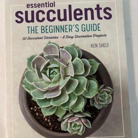 Other - Essential Succulents: The Beginner's Guide - Paperback By Shelf, Ken - like new